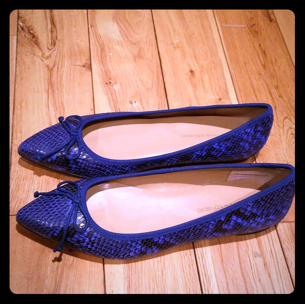 New NIB Banana Republic Pointed-Toe Robin Flats